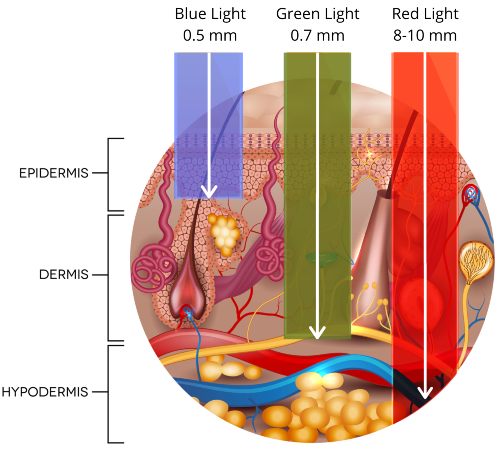 Diagram illustrating blue, green, and red light reaching different depths within a labeled cross-section of skin